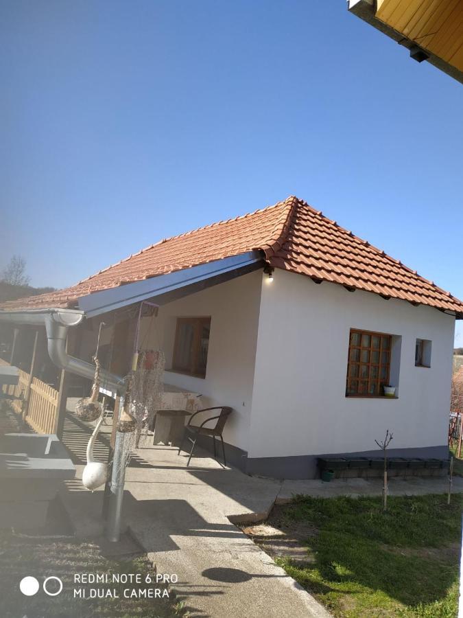 דירות Čačak Seosko Turisticko Domacinstvo Milka מראה חיצוני תמונה